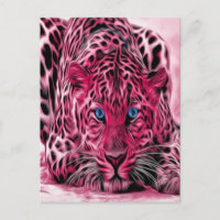 Pink Leopard With Blue Eyes
