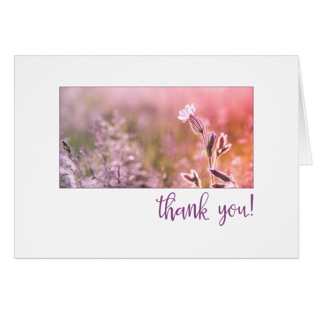Pink Light Campion Wildflower Thank You (Front Horizontal)