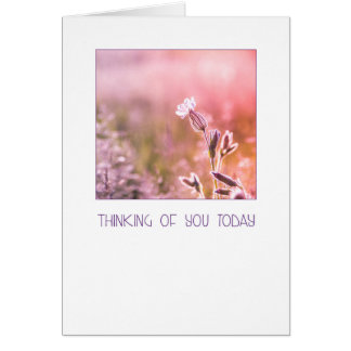 Pink Light Campion Wildflower Thinking of You