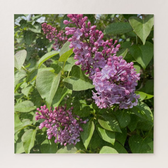 Pink Lilac Blossom Jigsaw Puzzle (Vertical)