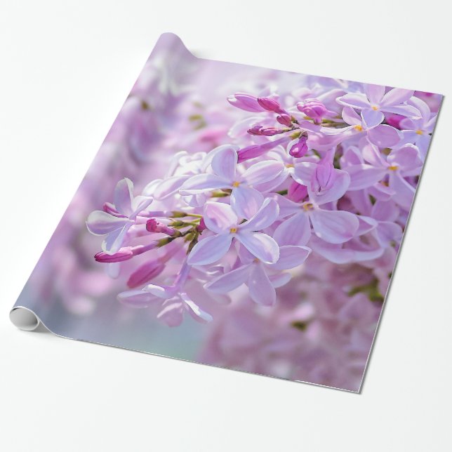 Pink lilac flowers wrapping paper (Unrolled)