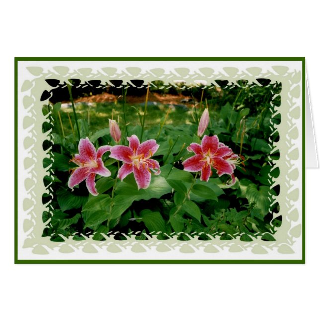 Pink Lilies (Front Horizontal)