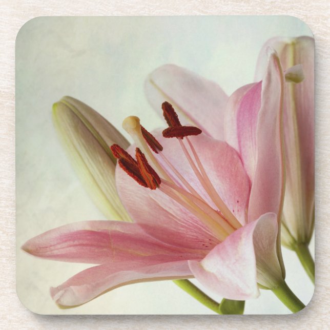 Pink Lilies Coaster (Front)