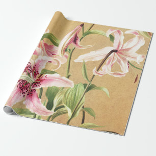 Pink Lilies  in Bloom 1886 Vintage Flower Floral Wrapping Paper
