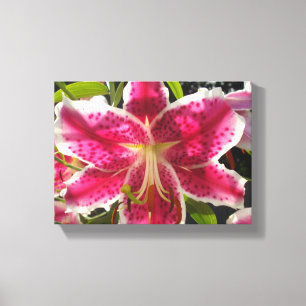Pink lilies pink tropical flowers pink floral canvas print