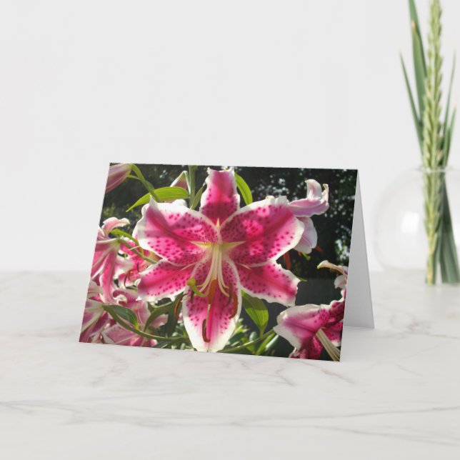 Pink lilies pink tropical flowers pink floral card (Front)