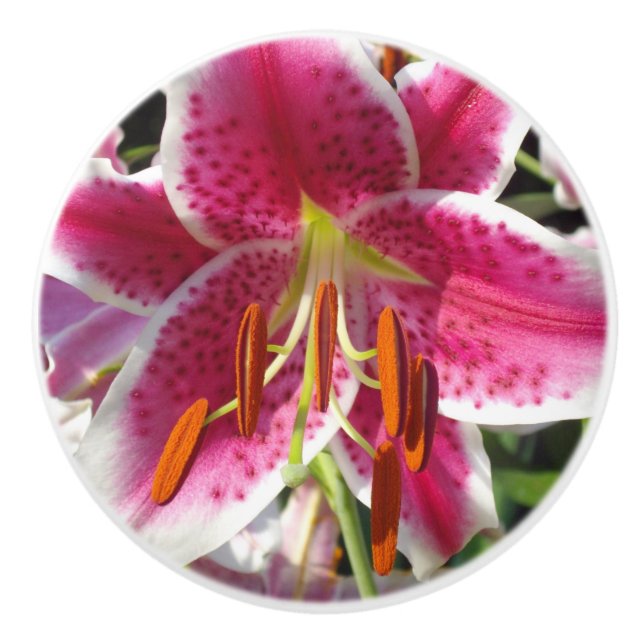 Pink lilies pink tropical flowers pink floral ceramic knob (Front)