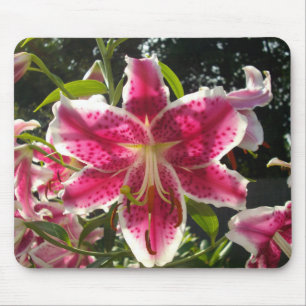 Pink lilies pink tropical flowers pink floral mouse mat
