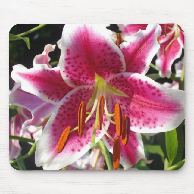 Pink lilies pink tropical flowers pink floral mouse mat (Front)