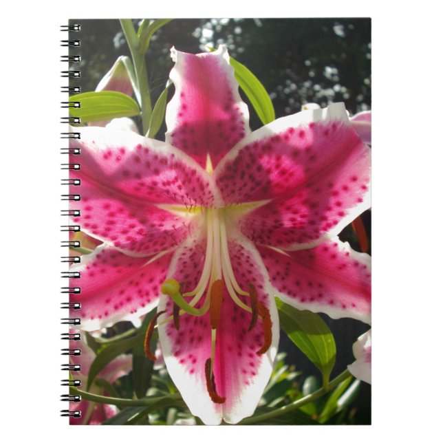 Pink lilies pink tropical flowers pink floral notebook (Front)