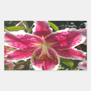 Pink lilies pink tropical flowers pink floral rectangular sticker