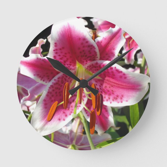 Pink lilies pink tropical flowers pink floral round clock (Front)