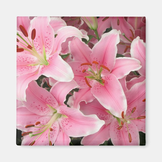 Pink Lillies Magnet (Front)