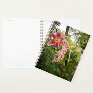 Pink Lillies Planner