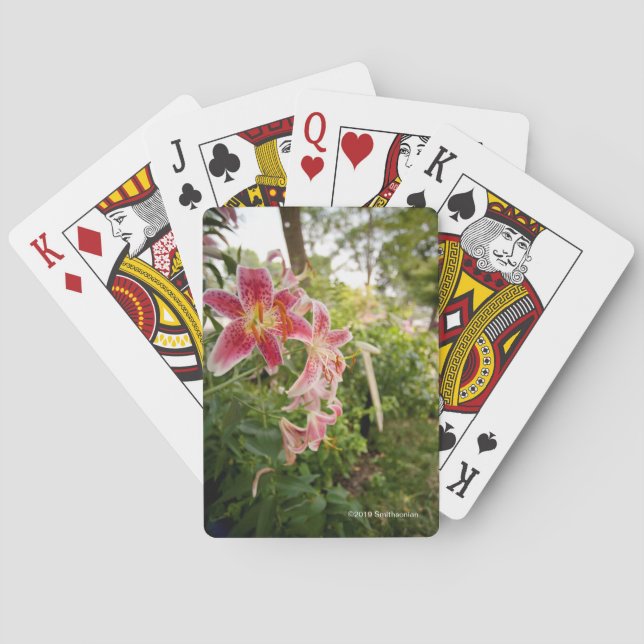 Pink Lillies Playing Cards (Back)