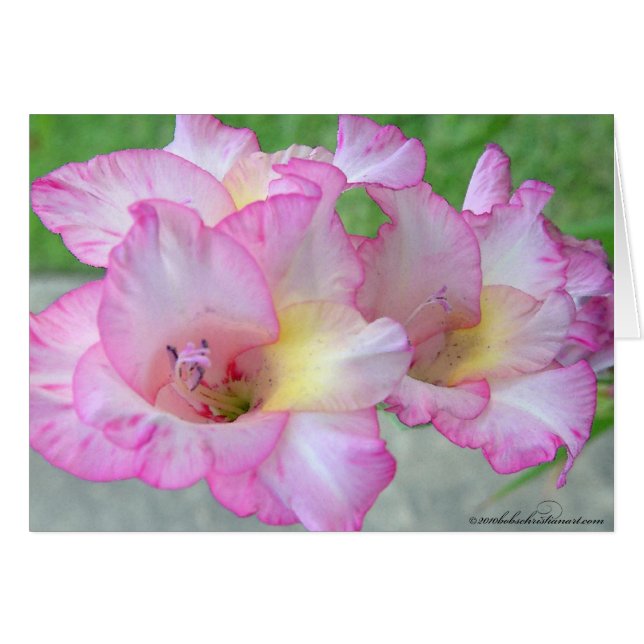 pink lilly_palete knife (Front Horizontal)