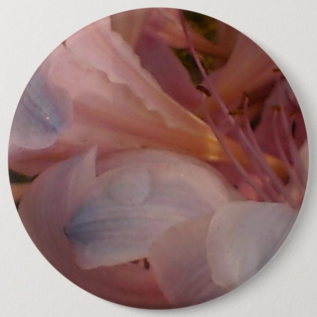 Pink Lily 6 Cm Round Badge (Front)