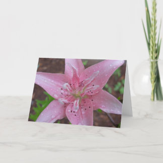 Pink Lily after a shower Card