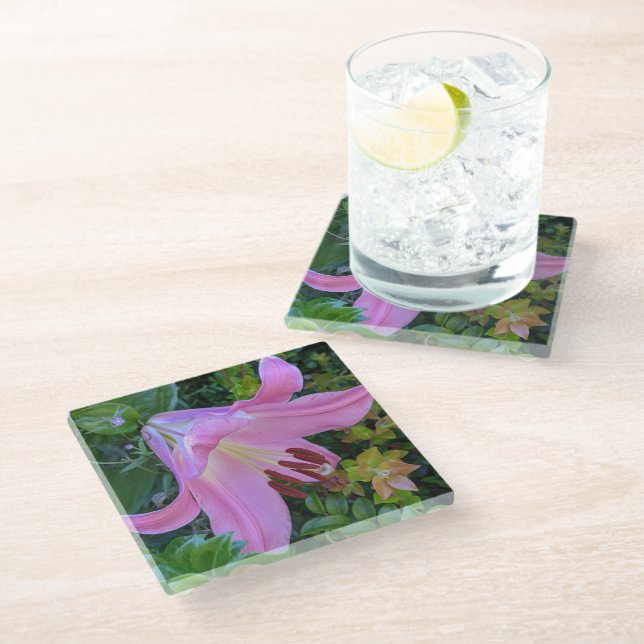 Pink Lily Bloom Floral Glass Coaster (Angled)