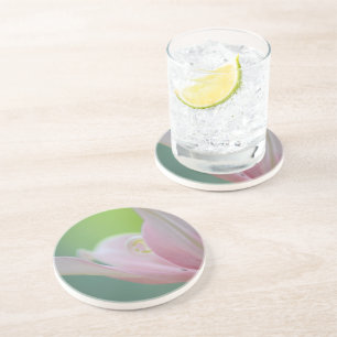 Pink Lily by Shirley Taylor Coaster