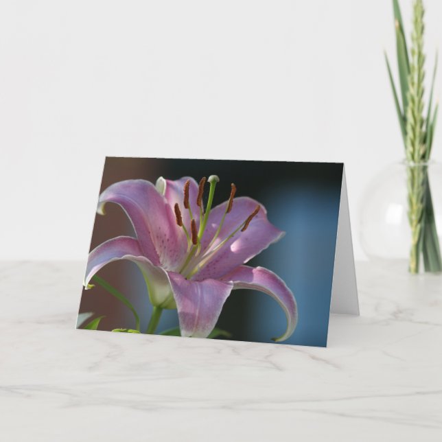 PINK LILY CARD (Front)