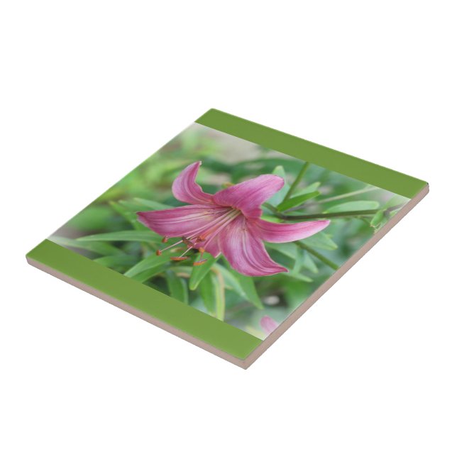 Pink Lily Decorative Tile (Side)