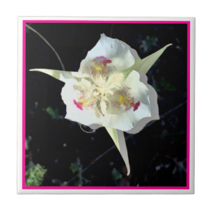 Pink Lily Fairy Tile