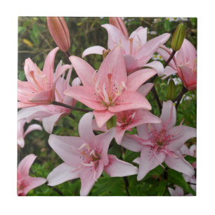 Pink lily floral beauty  tile