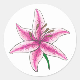 Pink Lily Flower Bridal Baby Shower Floral Garden Classic Round Sticker