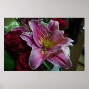 PINK LILY FLOWER POSTER