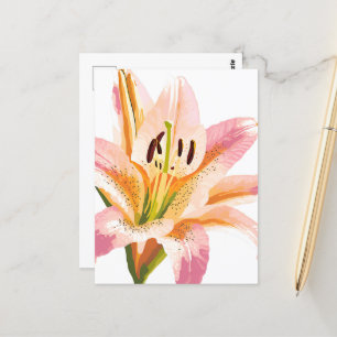 Pink Lily Flower Watercolor Floral Painting Postcard