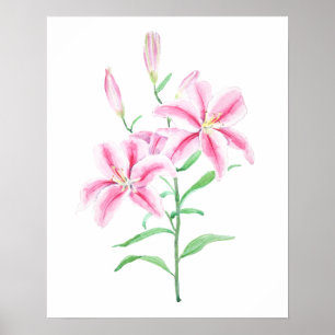 pink lily flower watercolor  poster