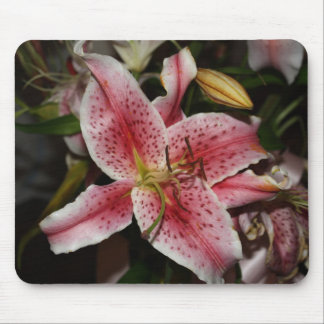 Pink Lily mouse pad