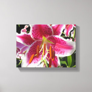 Pink lily pink floral pink flower tropical flower canvas print