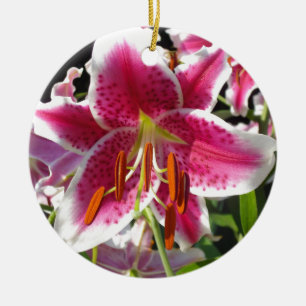 Pink lily pink floral pink flower tropical flower ceramic tree decoration