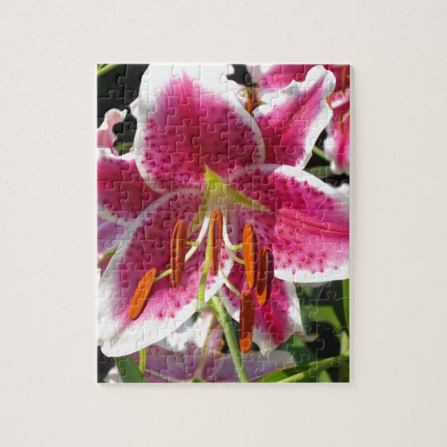 Pink lily pink floral pink flower tropical flower jigsaw puzzle (Vertical)