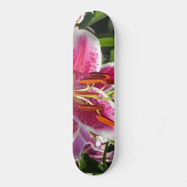 Pink lily pink floral pink flower tropical flower skateboard (Front)