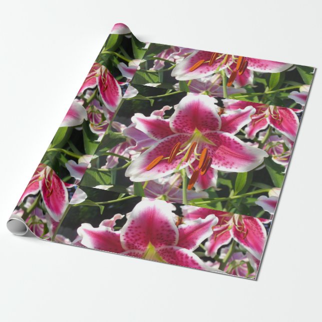 Pink lily pink floral pink flower tropical flower wrapping paper (Unrolled)