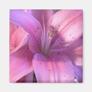Pink Lily Refridgerator Magnet