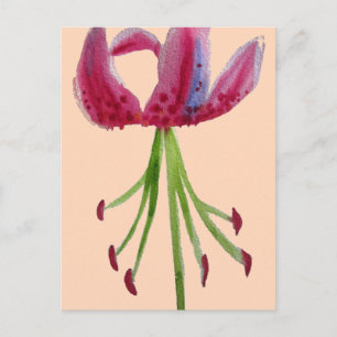 Pink Lily watercolour modern flower floral art Postcard