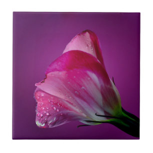 pink lisianthus tile