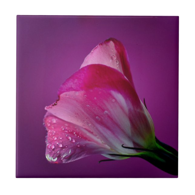 pink lisianthus tile (Front)