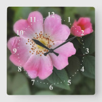 pink little flowers