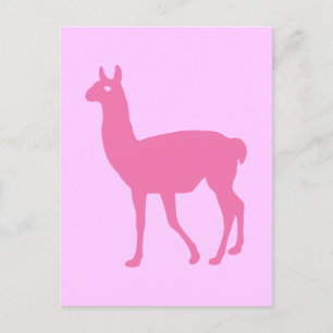 Pink Llama Postcard