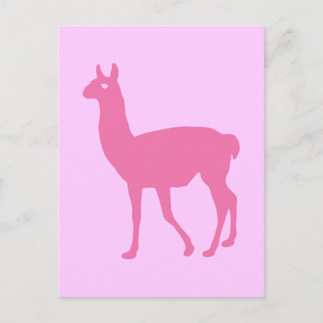 Pink Llama Postcard (Front)