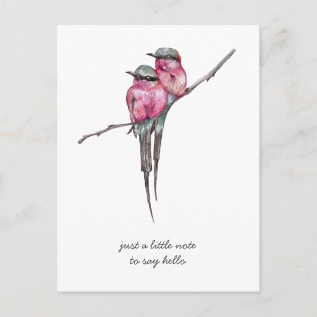 Pink Long Tailed Hummingbirds Thinking of You Postcard (Front)
