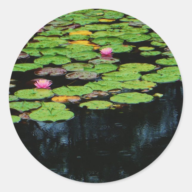 pink lotus black classic round sticker (Front)