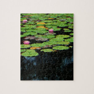 pink lotus black jigsaw puzzle