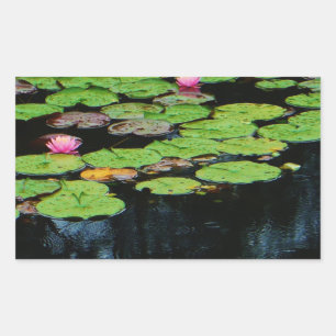 pink lotus black rectangular sticker