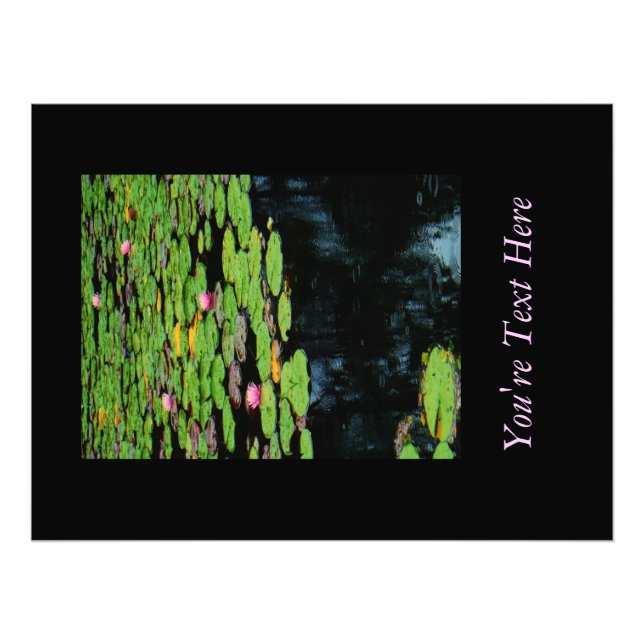 pink lotus black water photo print (Front)